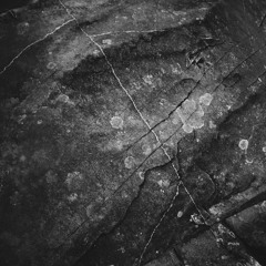 Elegy VIII