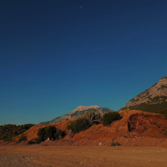 city lights (new year edit)