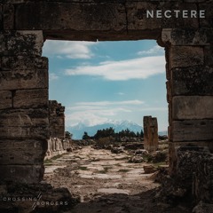 Nectere (Original Mix)