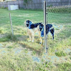 PurpleGreen Ft. Shrp