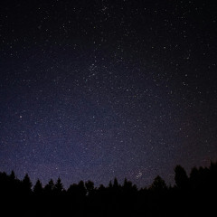 James Tenney – (night)