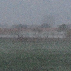 Dawn Chorus (2) 14th May 2024 at 4.22am - Palupohja