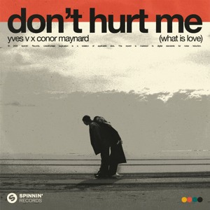 Yves V X Conor Maynard - Don't Hurt Me (What Is Love)