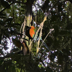 Something 12.11.25 V02