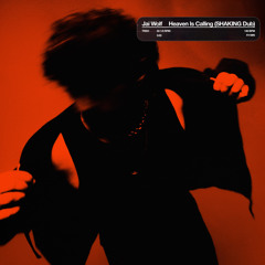 Heaven Is Calling (SHAKING Dub)