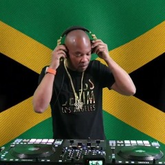 BAD LIKE 90S DANCEHALL JUGGLING feat SHABBA,BUJU,SUPER CAT,TIGER,NINJA,BEENIE,SPRAGGA,COBRA,CUTTY &+