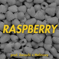 [FREE] Harp & Violin Trap Type Beat | "Raspberry" prod. Zarzecki x Malinowy