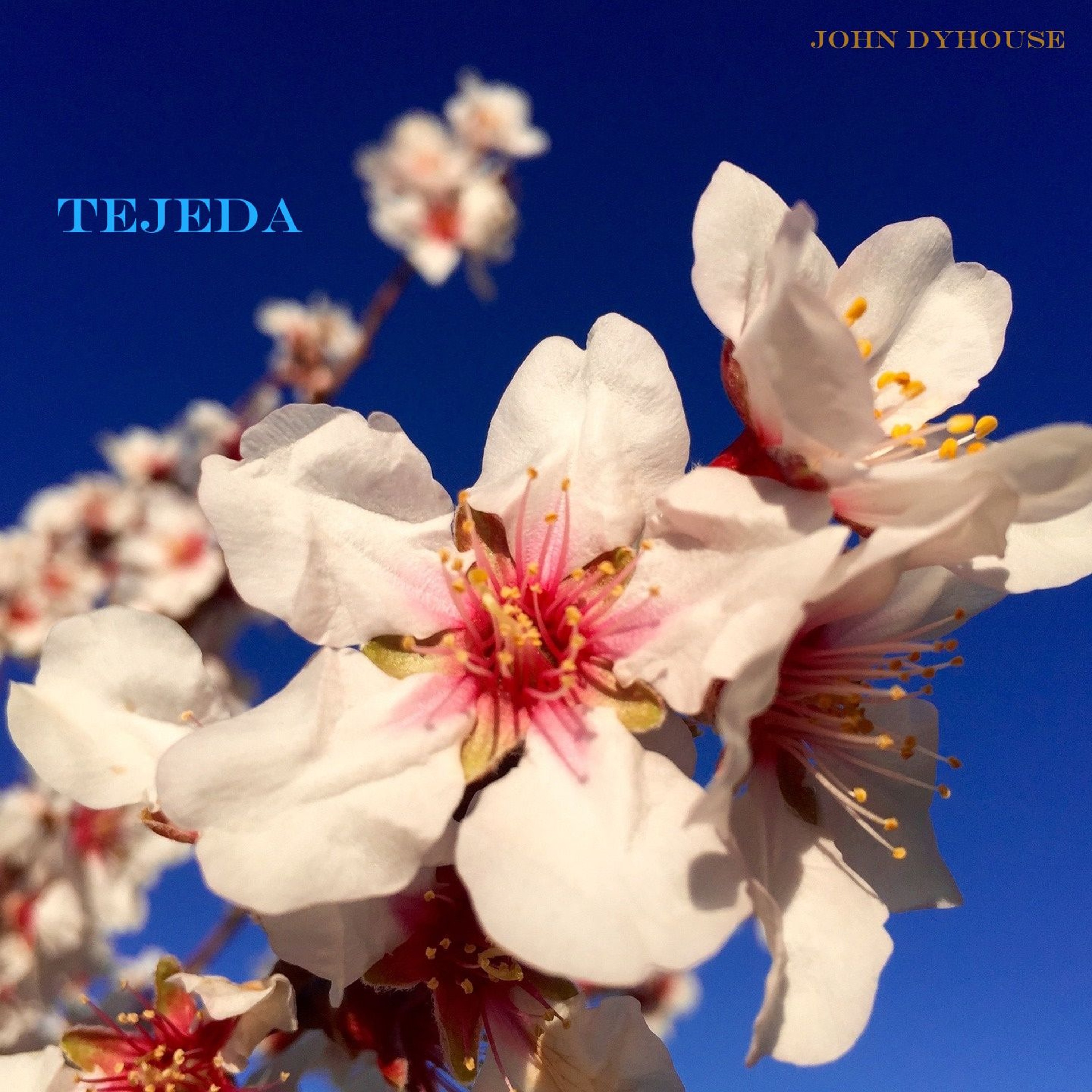 Tejeda