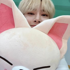 The Tortoise and the Hare - Straykids (sped up)