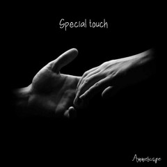 Special Touch