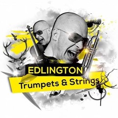 Trumpets & Strings - (Radio Edit)