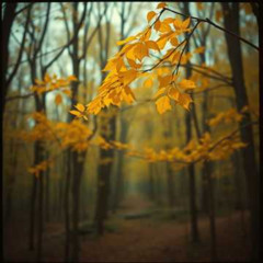 When The Leaves Let Go