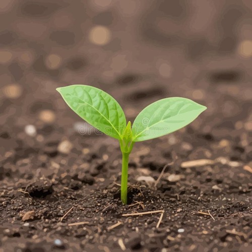 When I grow up, I’ll touch the sky