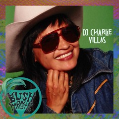 ChaCha's Tropical Fruits NYE mix