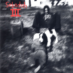 truly great thing (sebadoh)