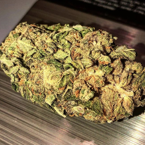 #OFB Double Lz X Dsavv - Gliding #unreleased 2020