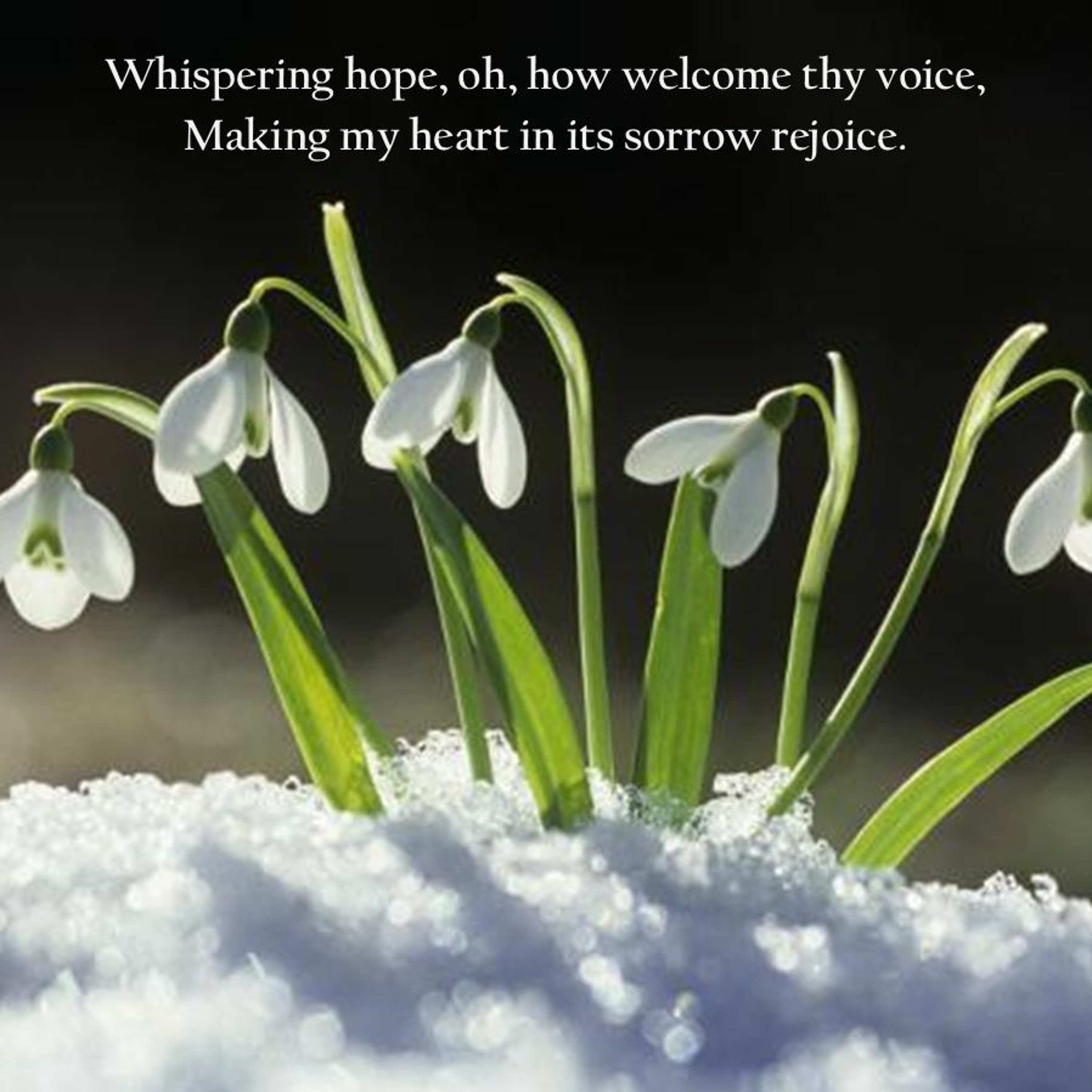 UCC Longmont Sermons
