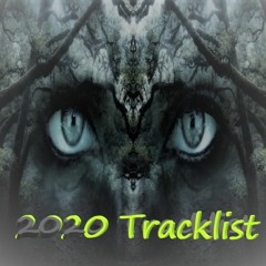 NIGHT TRAIL -1- NEW SET-RACKSLIST