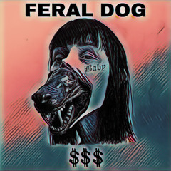 FERALDOG