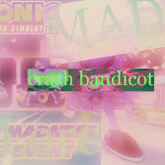 crash bandicot