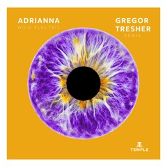 Premiere: ADRIANNA "Wild Electric" (Gregor Tresher Remix) - Temple House Music