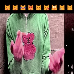 Silly Kitty