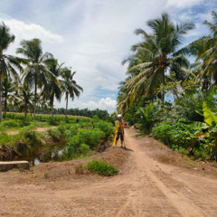 2 Bulan Di Tanjung Lago