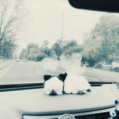 what the road said