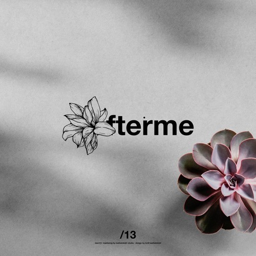 13 / Miguel Seabra, Ki​.​Mi. [DAM13]