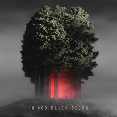 [NST184] Björn Torwellen - 10.000 Black Seeds (Album, 2x12")