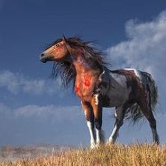 "War Pony"--(Ft. Ki Earth Spirit) LIVE RAW* VERSION