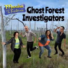 Ghost Forest Investigators