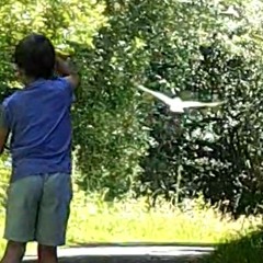 Stream Sound