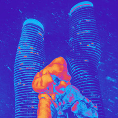 DILLEMA X C-LEAUX MIX