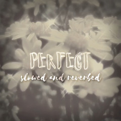 ✨perfect✨