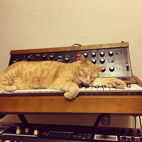 WeNeedTalk About Nico