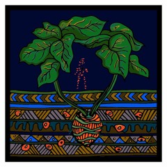 Hainuwele The Coconut Girl