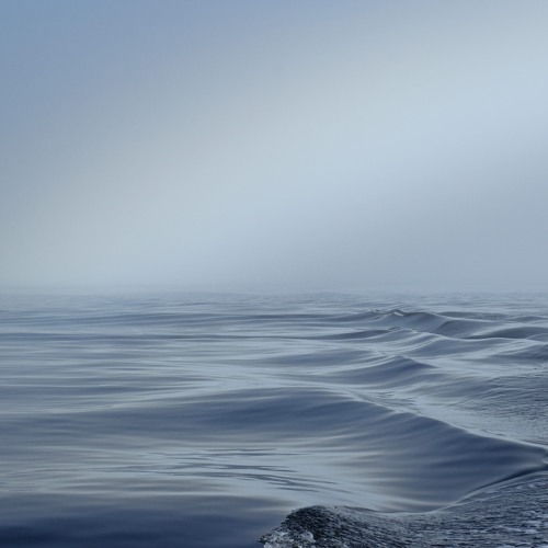 One Eye Two Waves / Vocal by Kristoffer Holtet Helwig