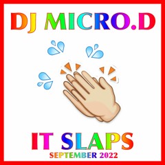 MicroD - It Slaps - September 2022