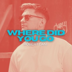 Robert Dani - Where Did You Go (Radio Mix)