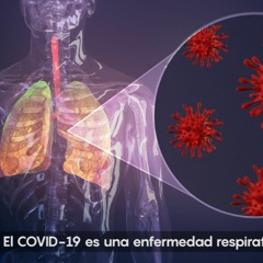 Así ataca el coronavirus al cuerpo humano