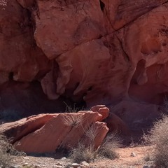 Follow Your Own Path