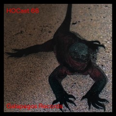 HOCast #66 - Galapagos Records