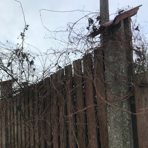 Изгибы сугробов про тебя