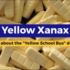 Who should not take the Yellow Xanax bar 2mg