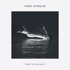 PREMIERE: Franc Spangler - Fight The Feeling [Delusions Of Grandeur]