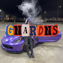 [FREE] Lil Gnar & Rich Amiri type beat - Gnardns
