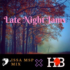 Late Night Jams |ISSA MSP MIX/Dj Bains|