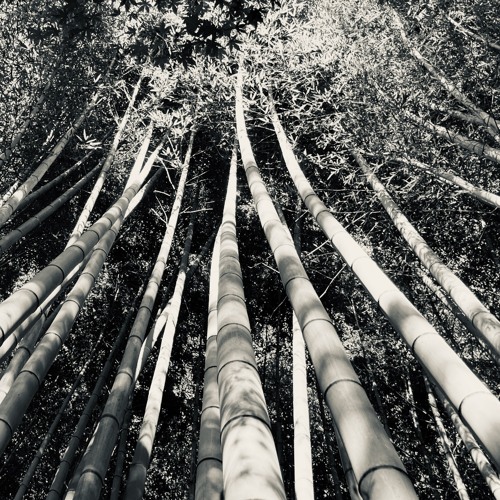disquiet0619 - provisions