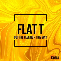 Flat T - 'Got The Feeling'
